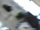 Black Jason vs Leroy Squirrel - Furnifur Screaming Black Jason vs Leroy Squirrel - Furnifur Screaming