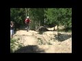 Fläsk Cykling