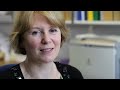 Cambridge University - Meet the Algae