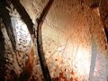 Apocalupsis 2005 Apocalupsis 2005