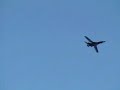 b1b first
