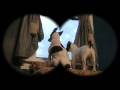  - MovieZen Video