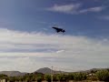 harrier aterrizando en motril