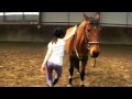 best of tallulah and chloe