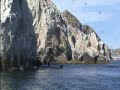 Whales, Sea Lions and Pelicans