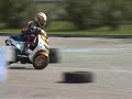 Zip sp Zambonicorse