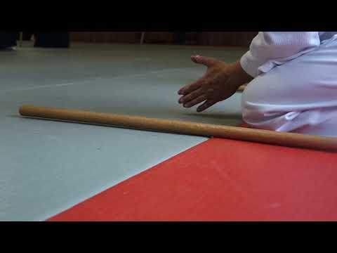 17 SUGA 202510125 Gemersheim Kentaijo