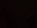 videos de no show