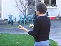 lemon baseball lemon baseball