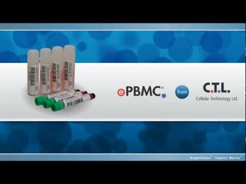 how to isolate pbmcs from blood