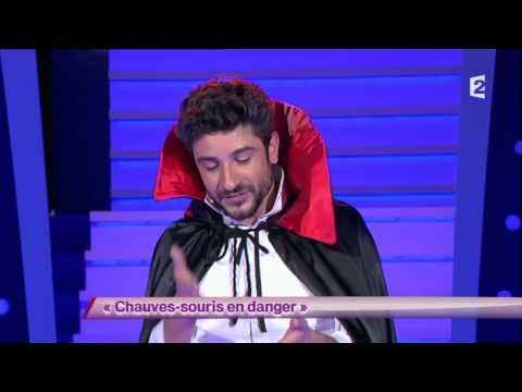 Vérino & Jean-Marie Bigard - Chauves-souris en danger #ONDAR