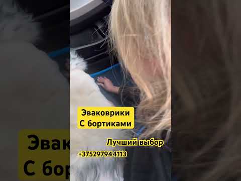 YouTube video preview