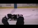 fight lp gaucher