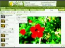 eZ Publish Picnik extension