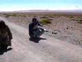 Tibetans making prostrations khora around Kailash