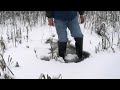 Wading around and falling through the ice