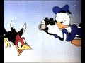 donald\