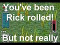 Random GBA gotd 30: Super Black Bass Advance