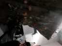 Dyno #2