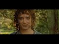 lord of the rings tribute to frodo