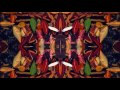 Washed Out - Paracos