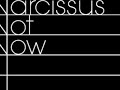 Narcissus - Not Now