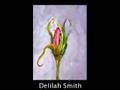 Happy Summer Paintings by Delilah