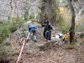 Pat's Stag Flying Fox Zipline Experience