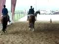 March 2009 - AQHA HUS Bippity Boppin' Along and Pamela Britton-Baer