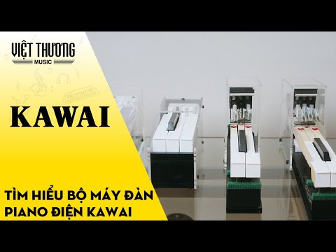 Bộ máy đàn piano Kawai Digital