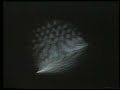 Nam June Paik - Electronic Moon #2 Nam June Paik - Electronic Moon #2