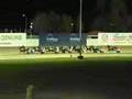2007 John JF & DM Brindley Fremantle Pacing Cup