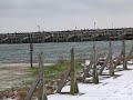 Tawas Bay whitefish, East Tawas, MI