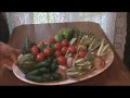 A Gardener's First Fruits Video #24