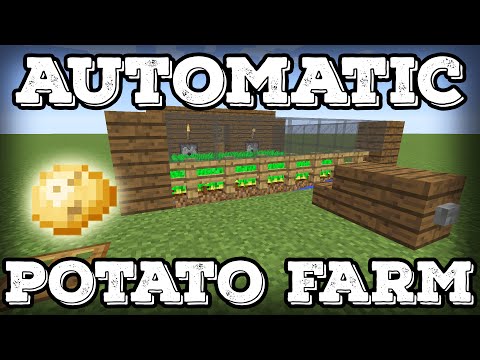 how to replant potatoes