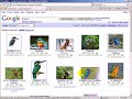 Quickly Adding Images to SuperMemo Take #2 Quickly Adding Images to SuperMemo Take #2