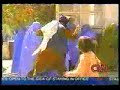 Do you support, Taliban beating women? Answer Yes or No