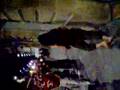 Tchagss-la-f-te-de-l
