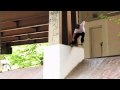 Zered Bassett in X Games 16: Real Street