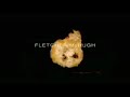 Michael Gomez film