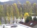 videos de piena del reno