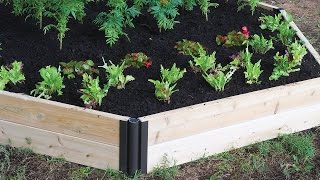 Introduction to Raised Bed Gardening
