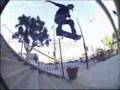Pro Skaters Little know it all