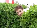 The Search For Wilson
