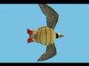 Purtle Fly...or swim Purtle Fly...or swim