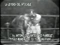 nicolino locche   the untouchable!