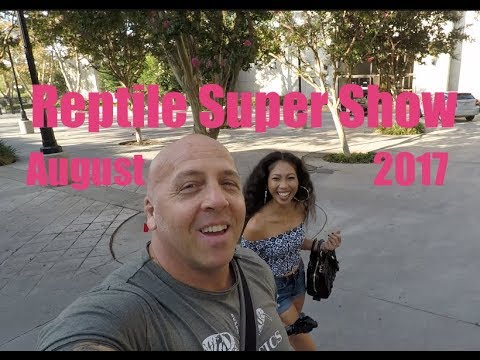 YouTube reptile video
