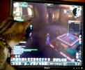 Cat likes World of Warcraft Cat likes World of Warcraft