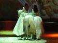 Cavalia - pas des deux