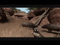 Far Cry 2 - Stupid Oxen Far Cry 2 - Stupid Oxen